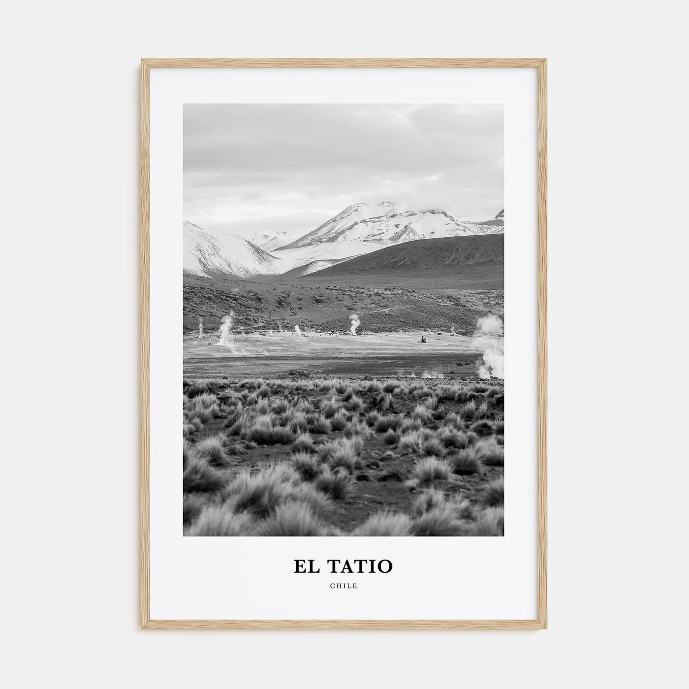 El Tatio Portrait B&W Poster