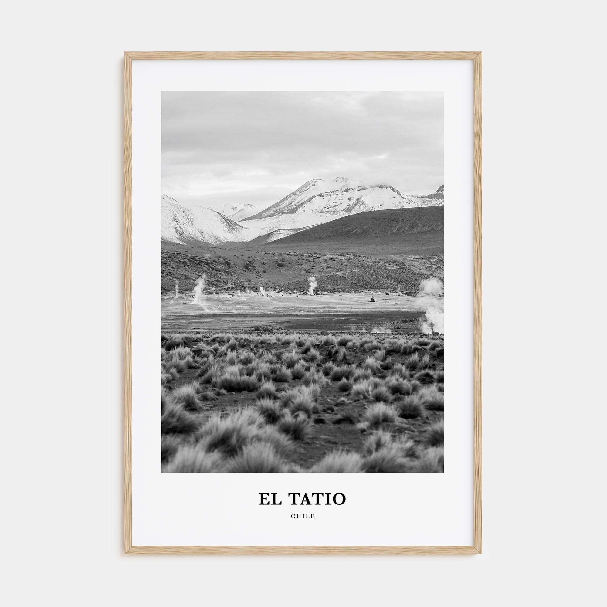 El Tatio Portrait B&W Poster
