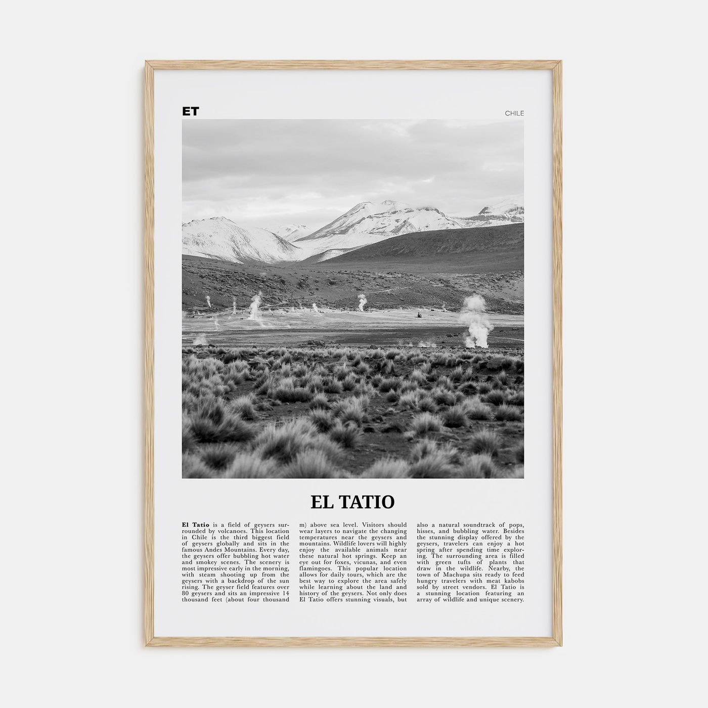 El Tatio Travel B&W Poster