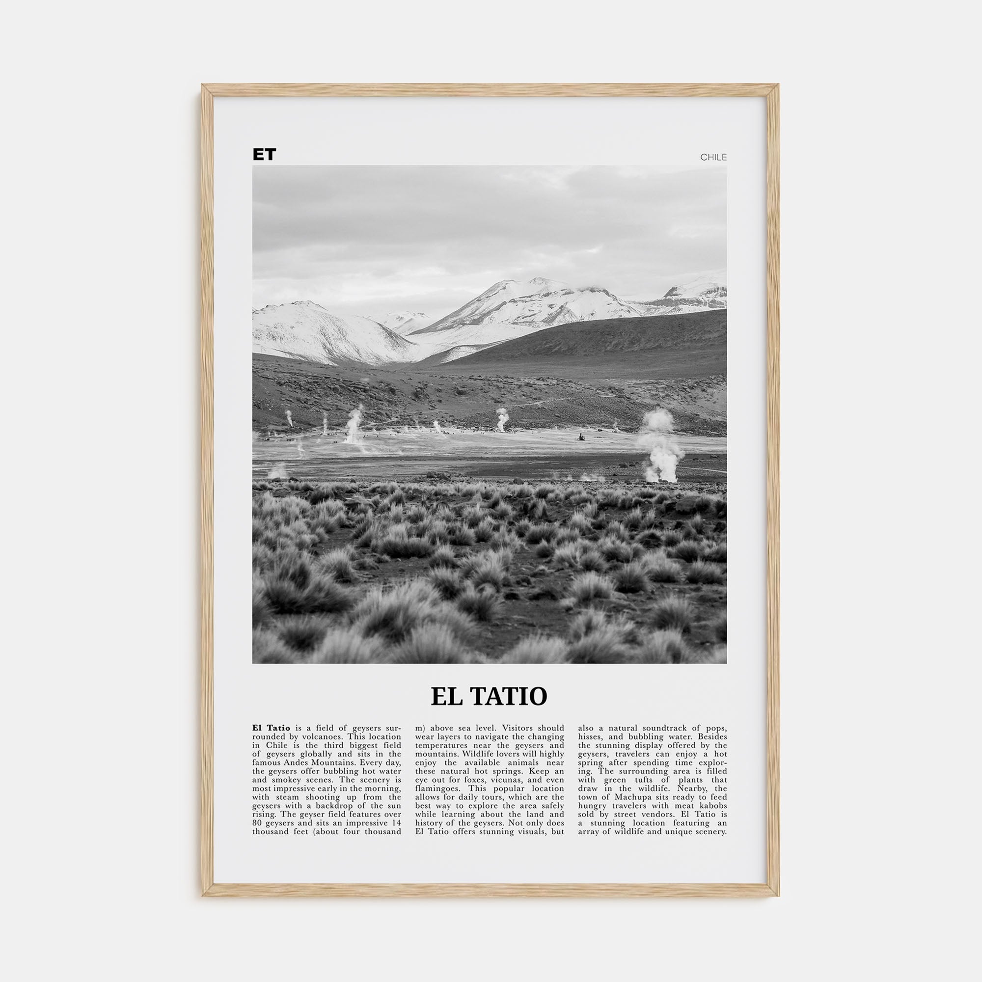 El Tatio Travel B&W Poster