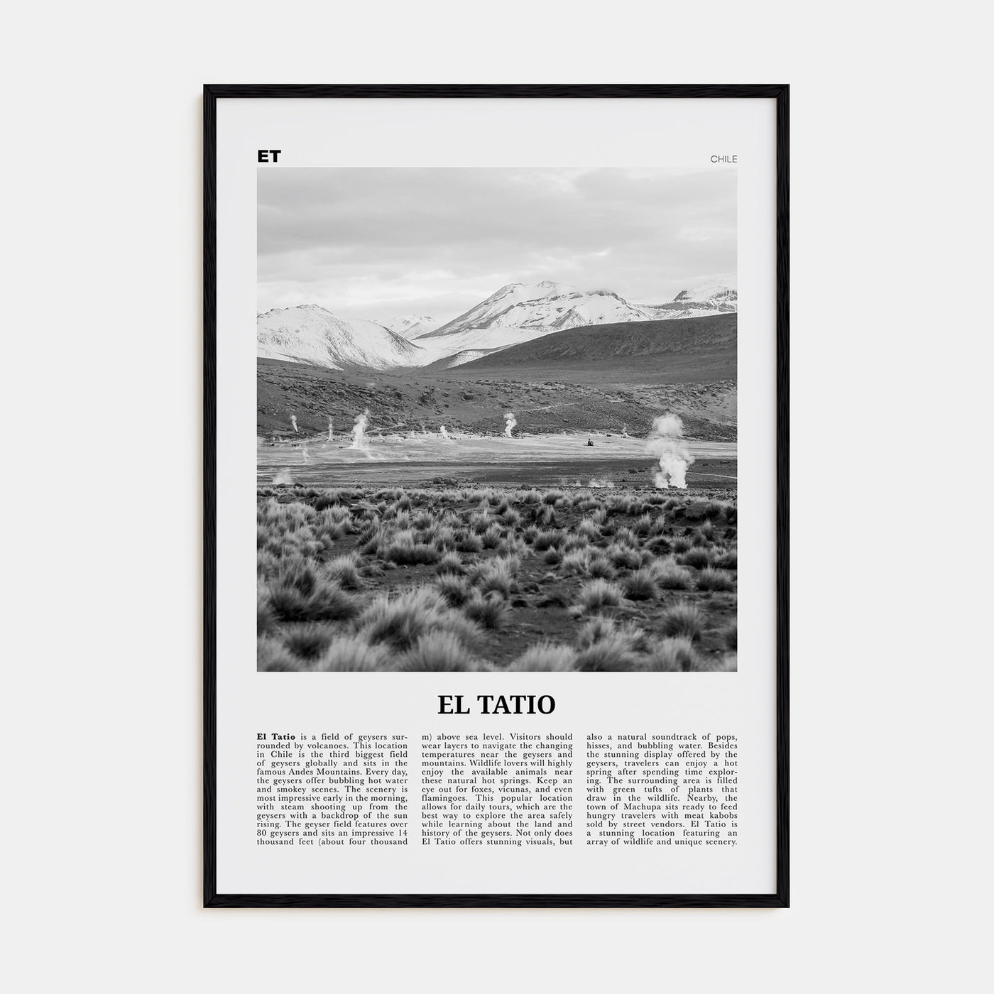 El Tatio Travel B&W Poster
