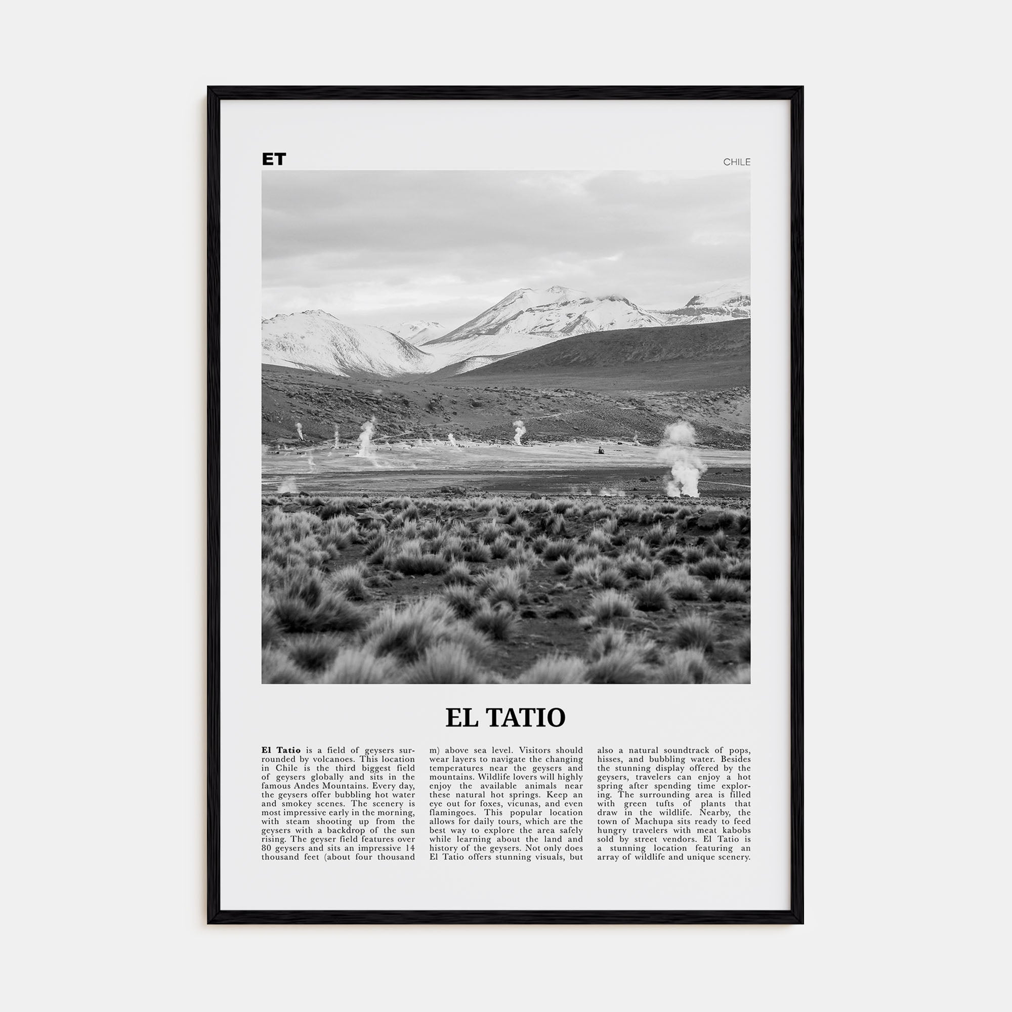 El Tatio Travel B&W Poster