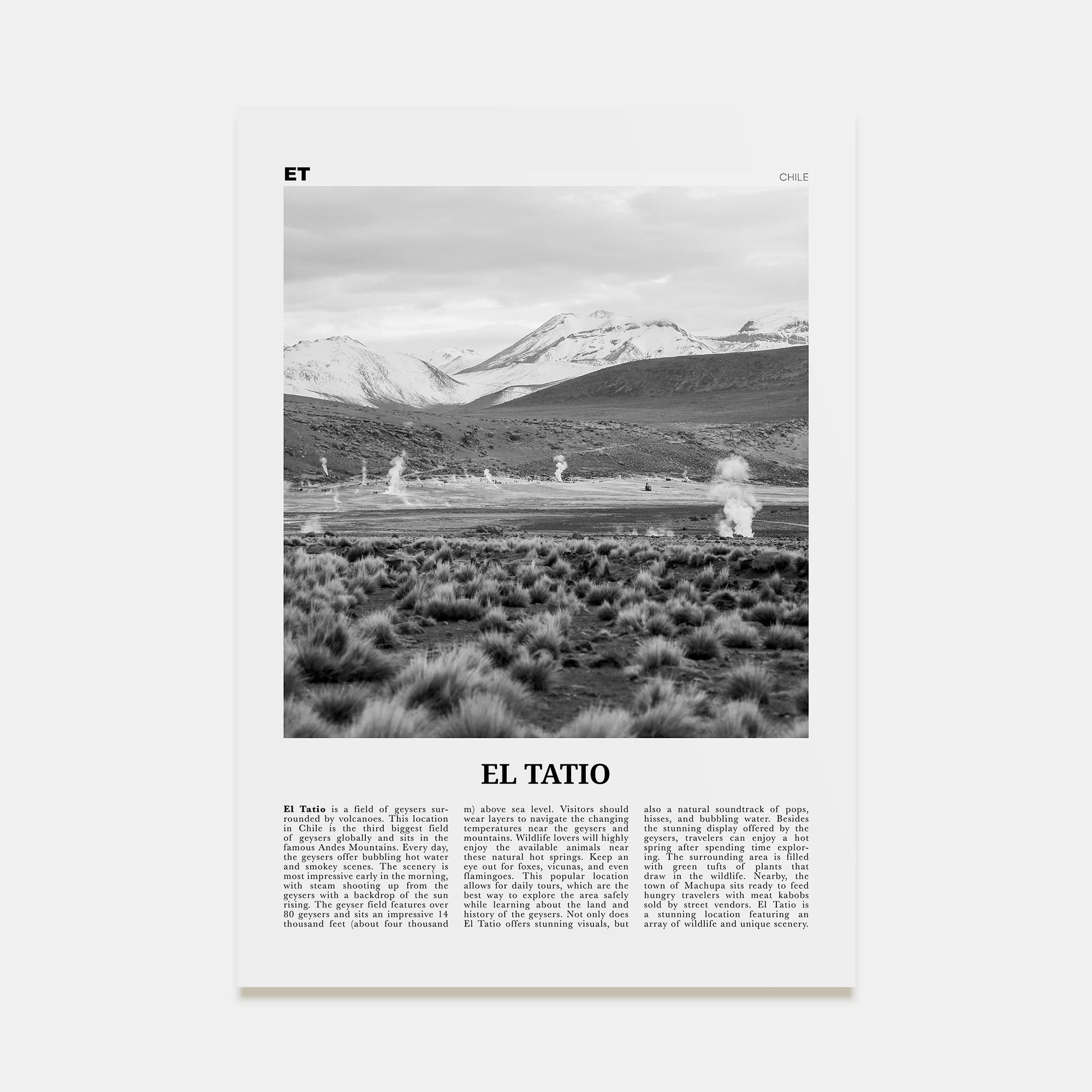 El Tatio Travel B&W Poster