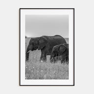 Elephant Photo B&W No 1 Poster