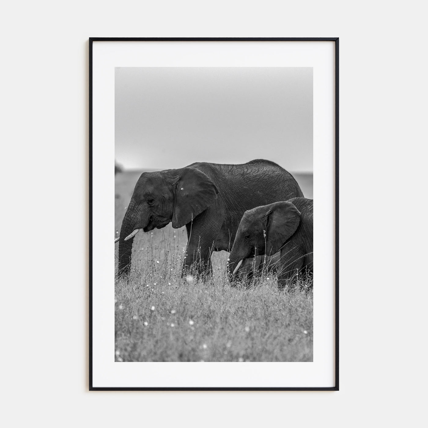 Elephant Photo B&W No 1 Poster