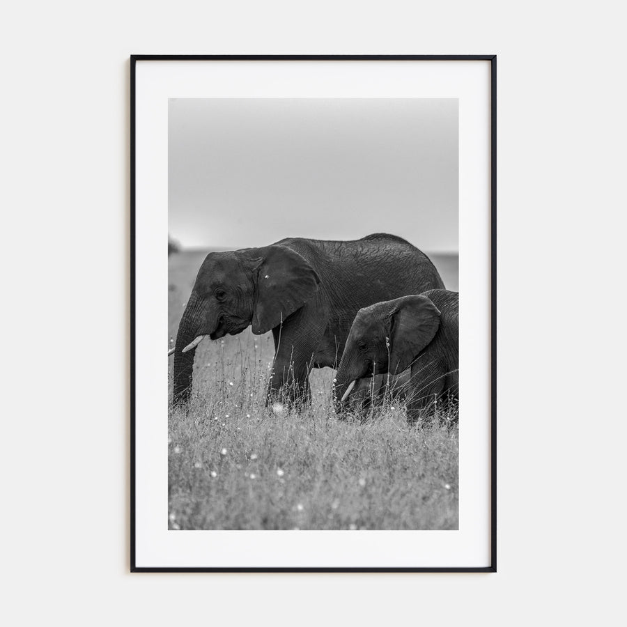 Elephant Photo B&W No 1 Poster