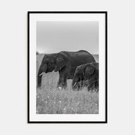 Elephant Photo B&W No 1 Poster