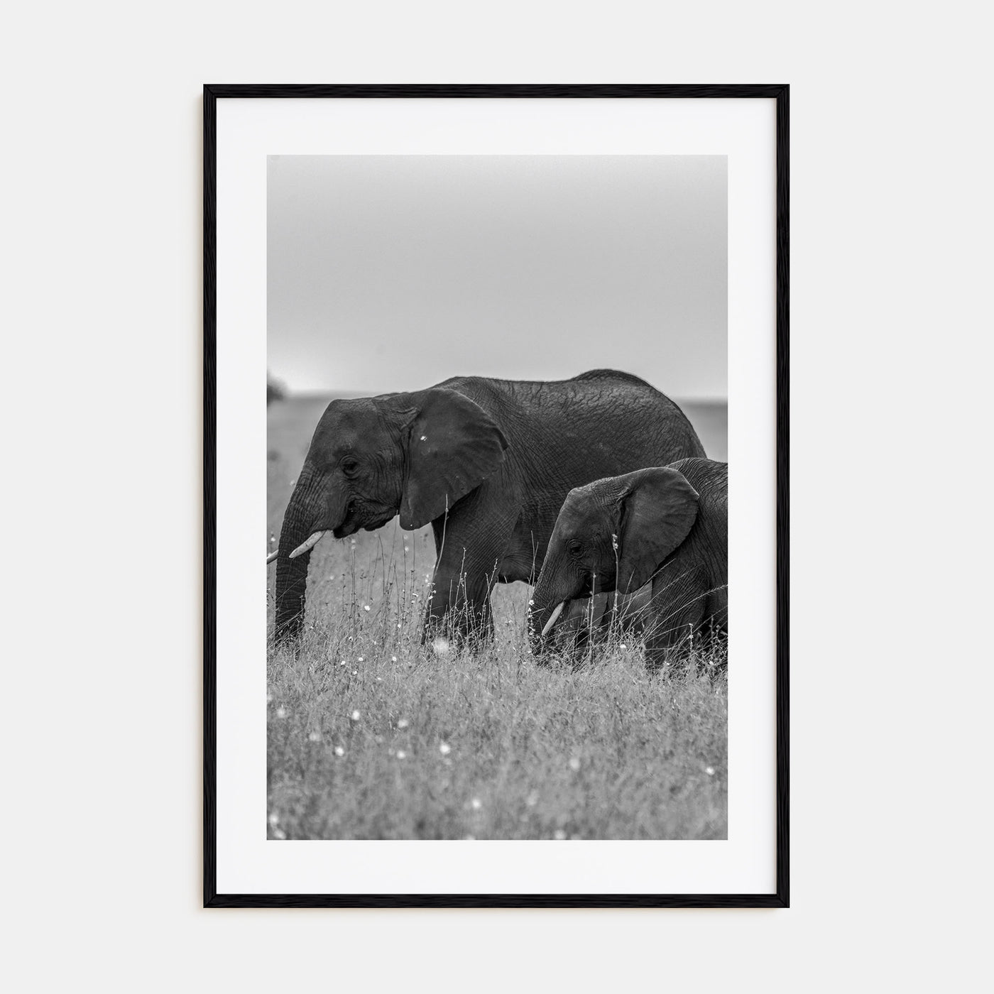 Elephant Photo B&W No 1 Poster