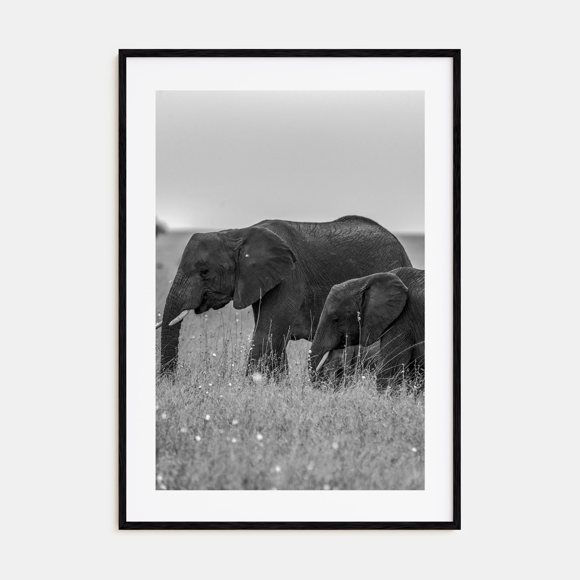 Elephant Photo B&W No 1 Poster