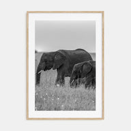 Elephant Photo B&W No 1 Poster