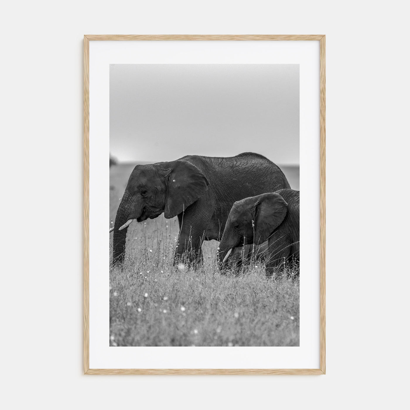 Elephant Photo B&W No 1 Poster