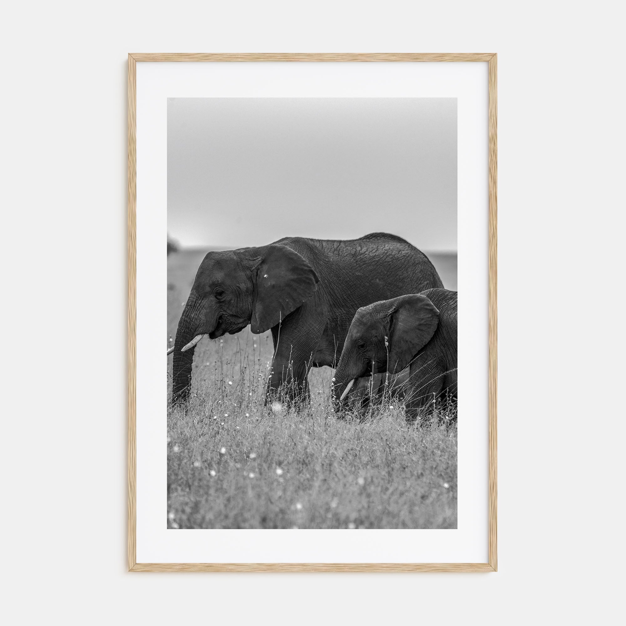 Elephant Photo B&W No 1 Poster