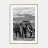 Elephant Photo B&W No 2 Poster