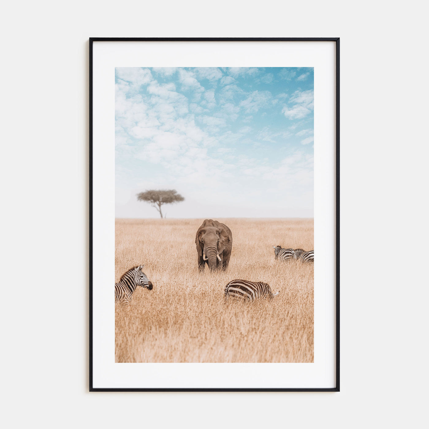 Elephant Photo Color No 1 Poster