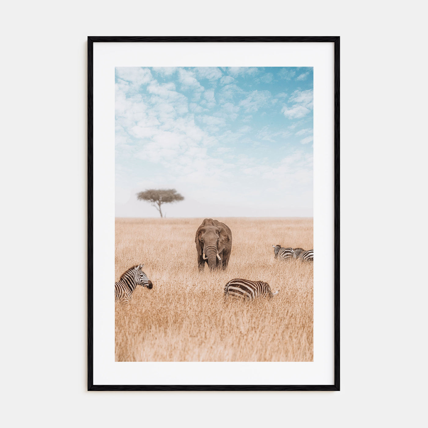 Elephant Photo Color No 1 Poster