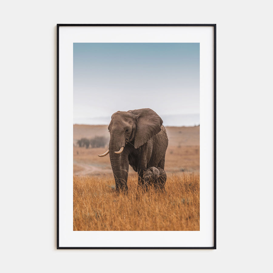 Elephant Photo Color No 2 Poster
