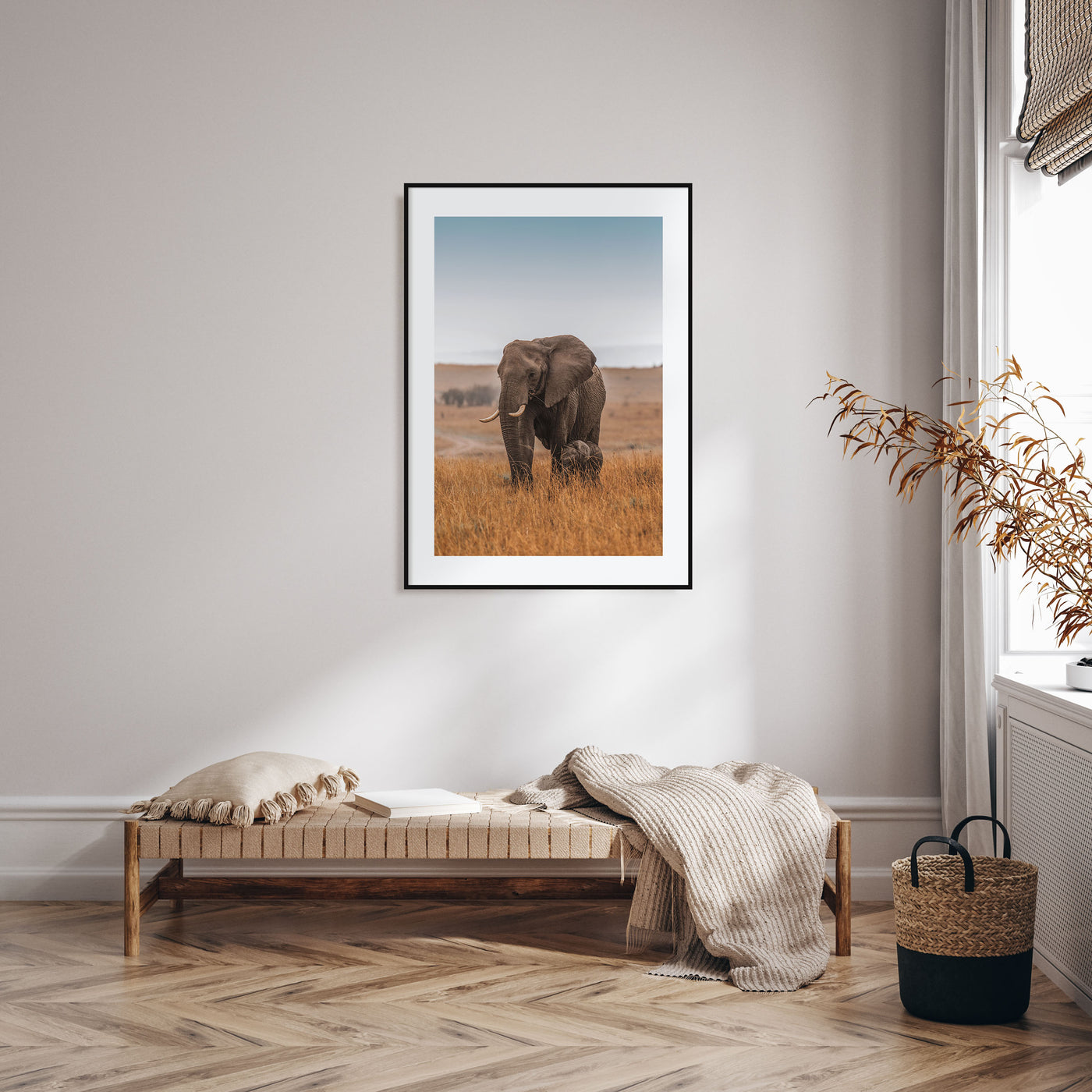 Elephant Photo Color No 2 Poster