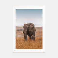 Elephant Photo Color No 2 Poster
