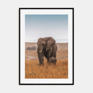 Elephant Photo Color No 2 Poster