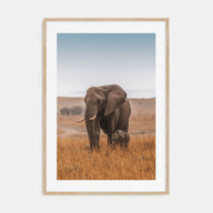 Elephant Photo Color No 2 Poster