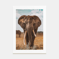 Elephant Photo Color No 3 Poster