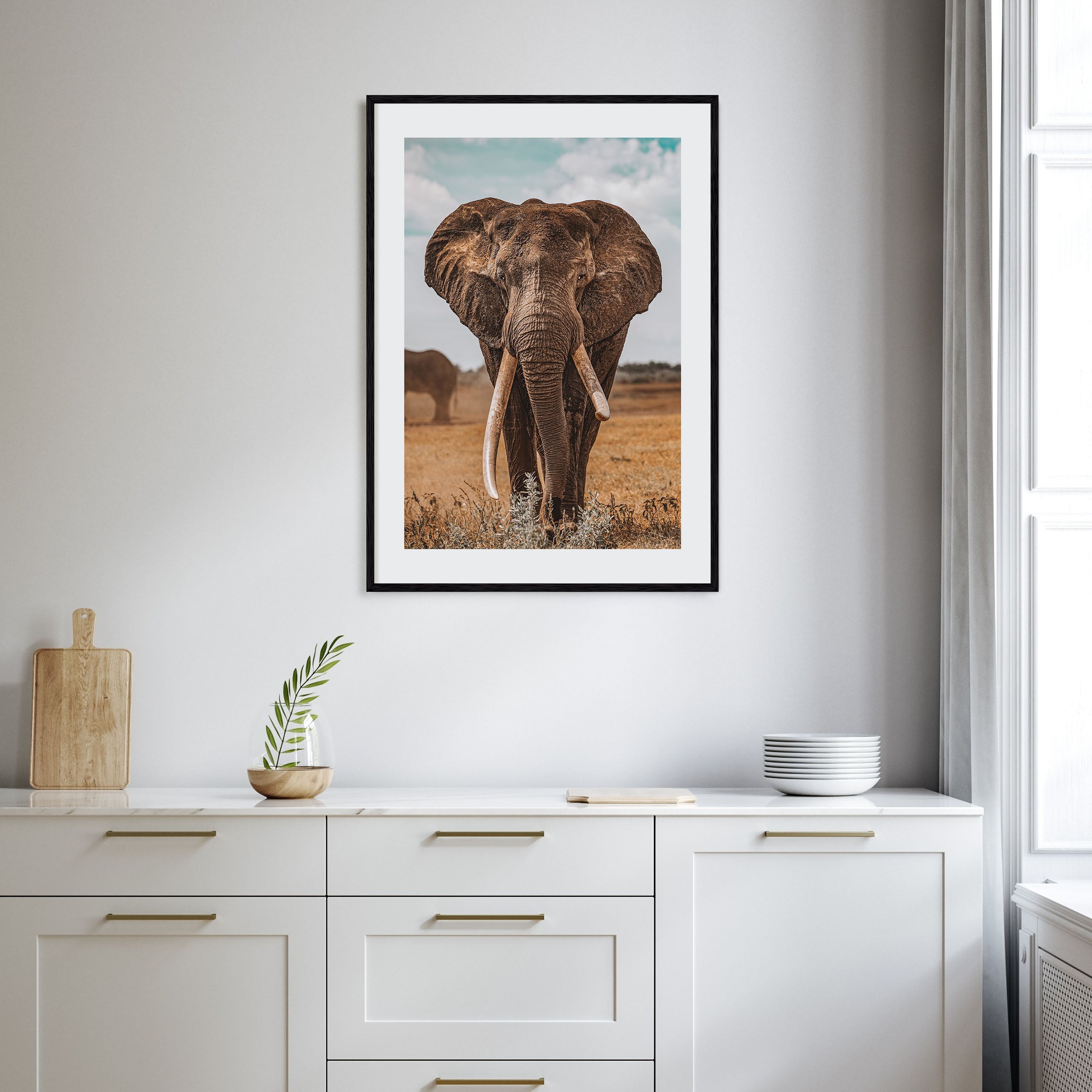 Elephant Photo Color No 3 Poster
