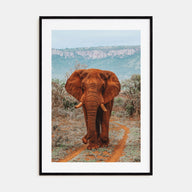 Elephant Photo Color No 4 Poster