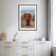 Elephant Photo Color No 4 Poster