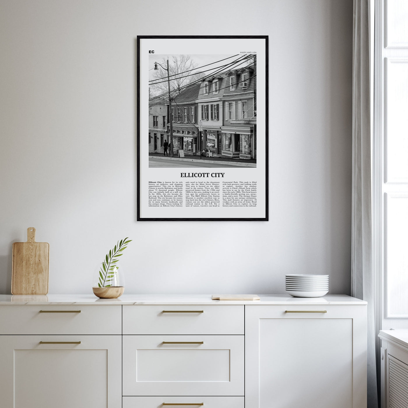 Ellicott City Travel B&W Poster