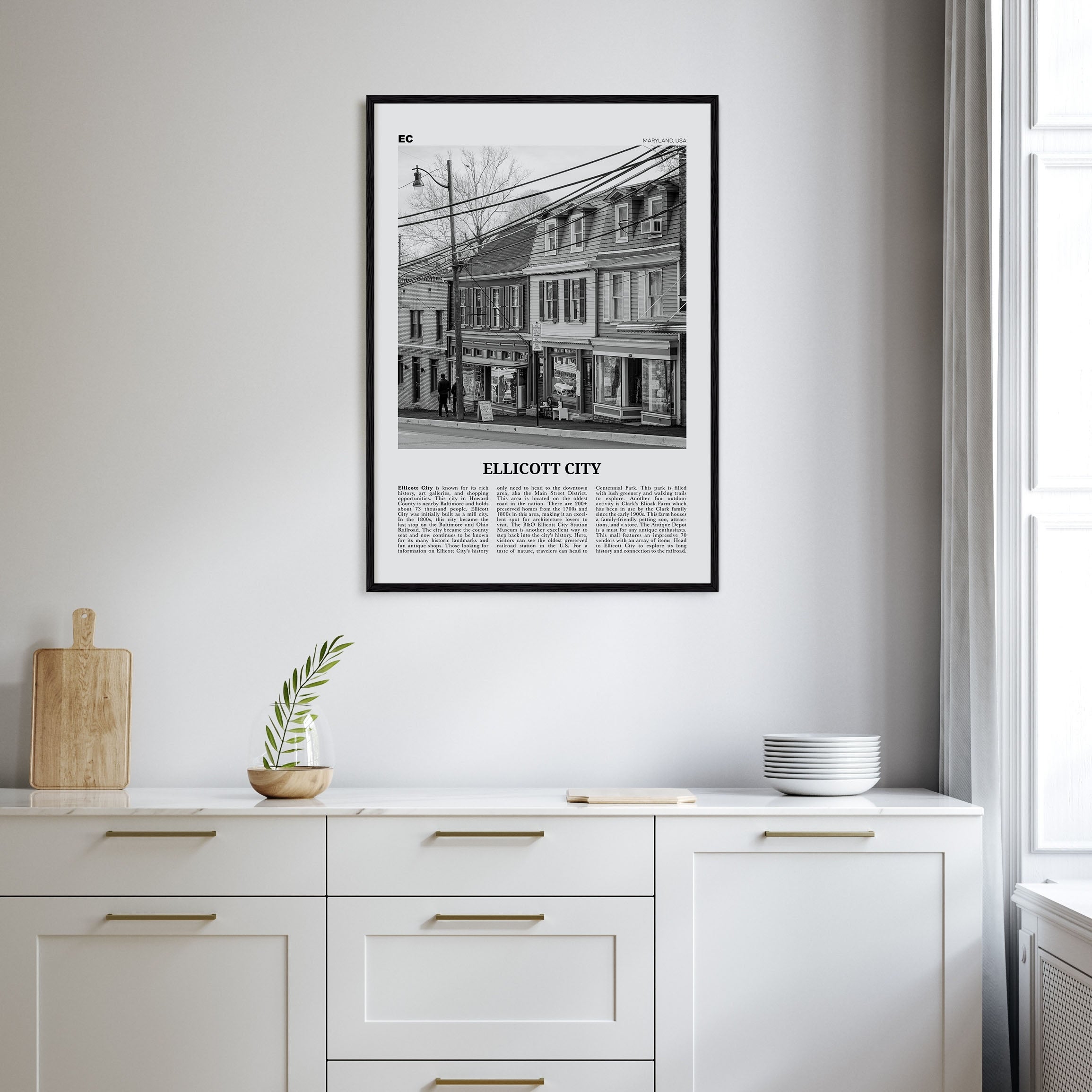 Ellicott City Travel B&W Poster