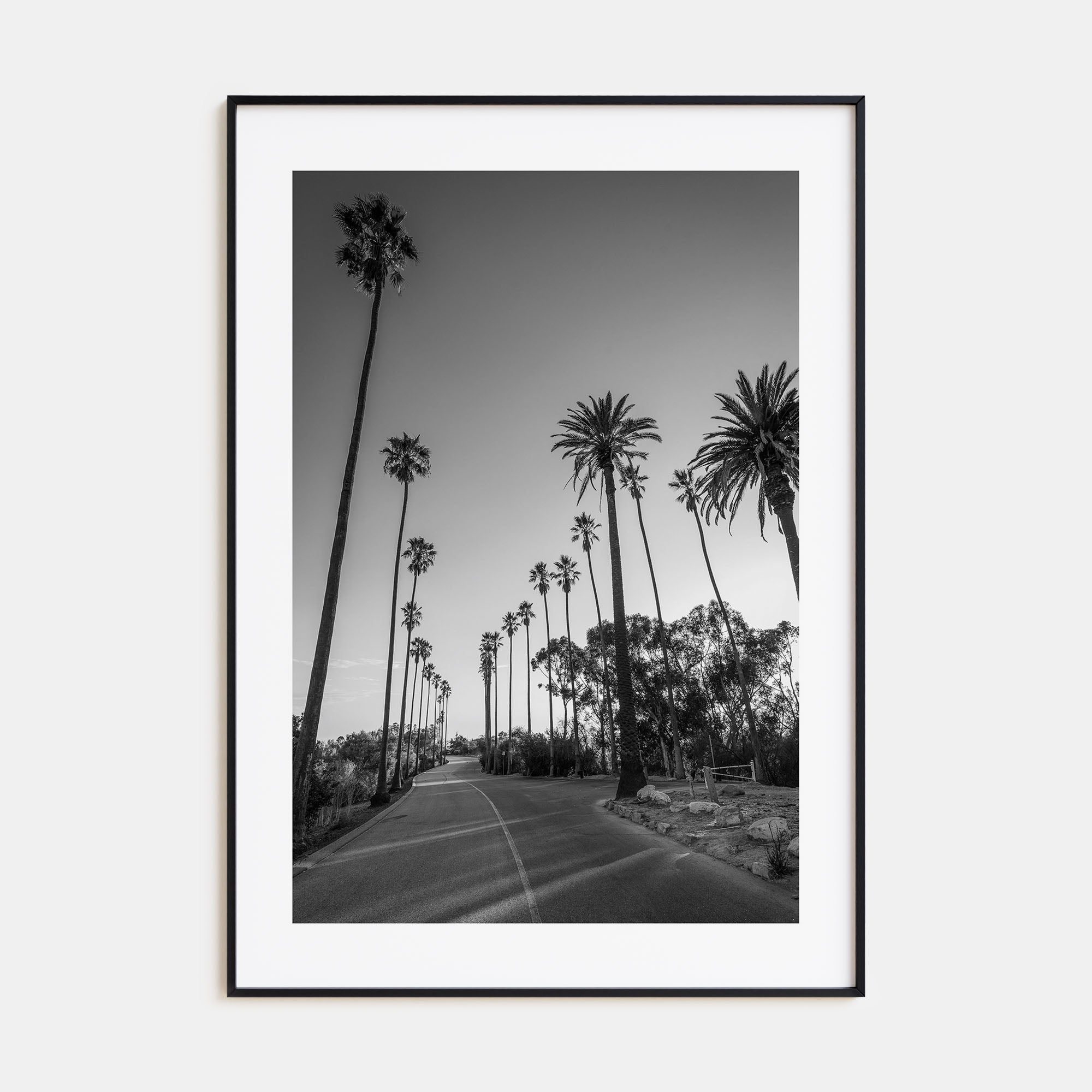 Elysian Park Photo B&W Poster