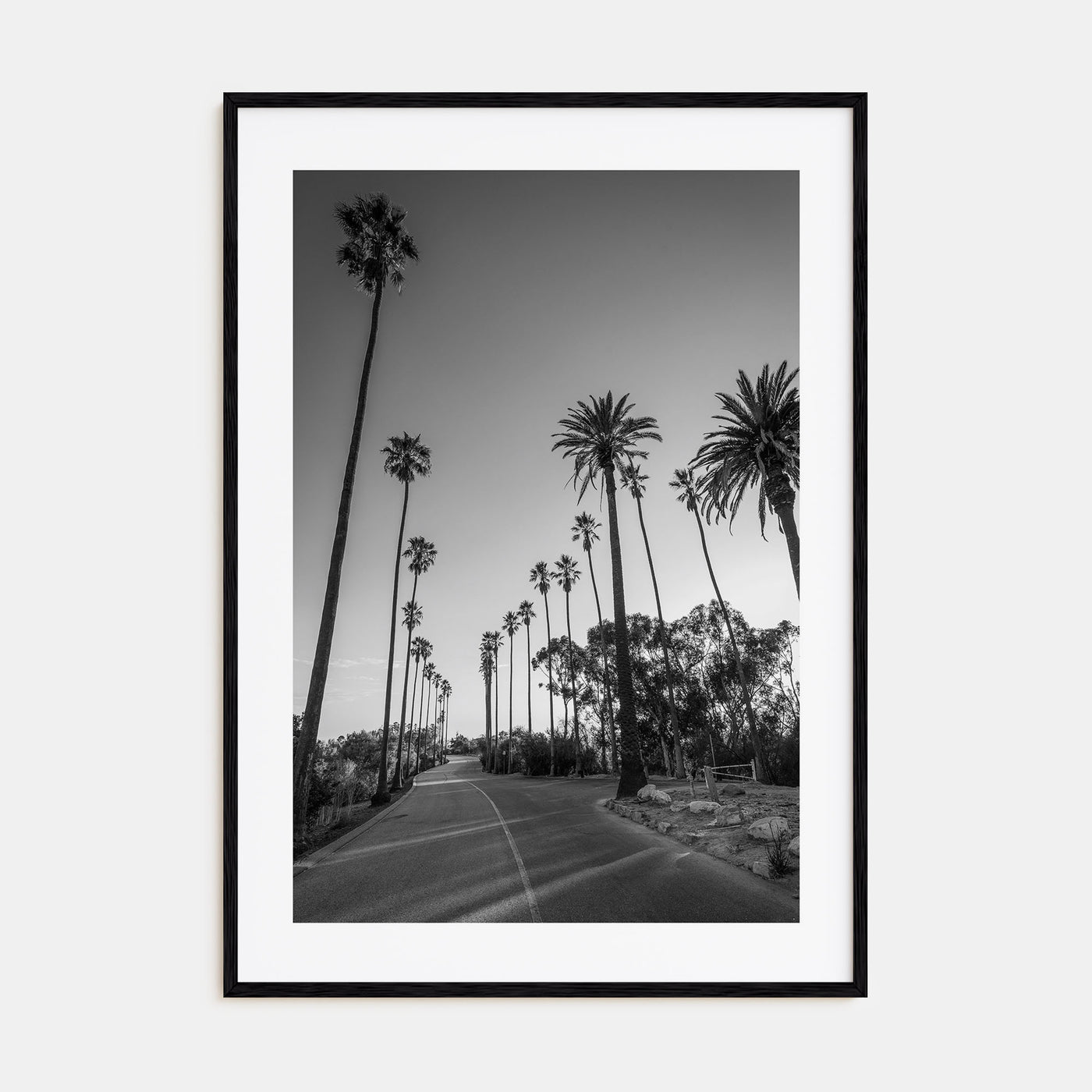 Elysian Park Photo B&W Poster