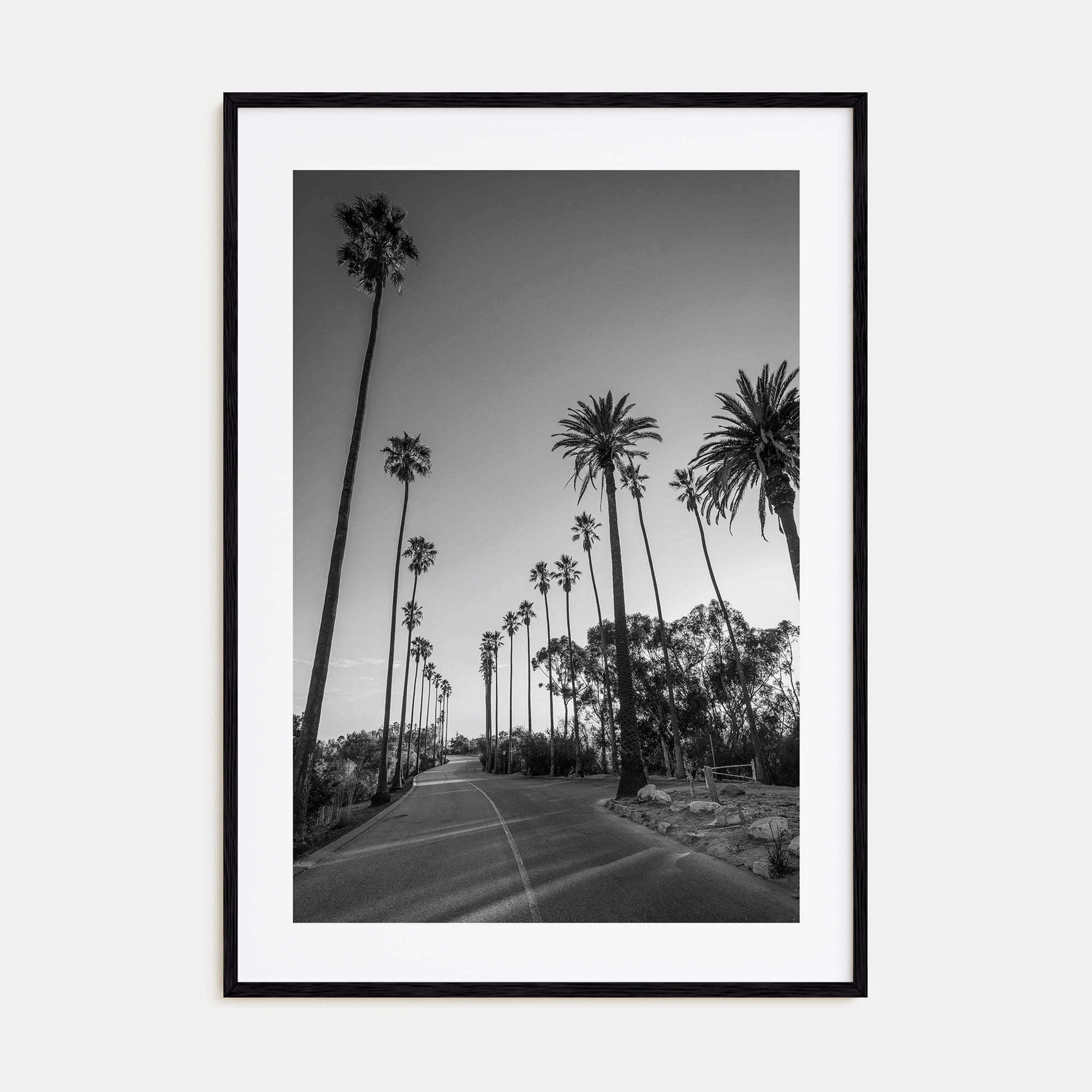 Elysian Park Photo B&W Poster