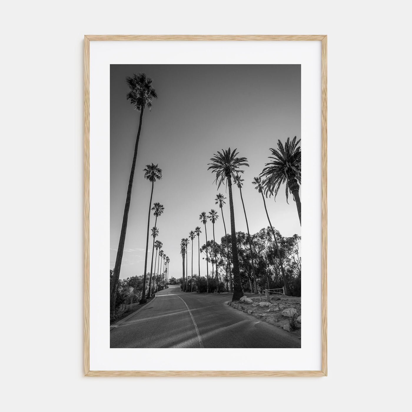 Elysian Park Photo B&W Poster