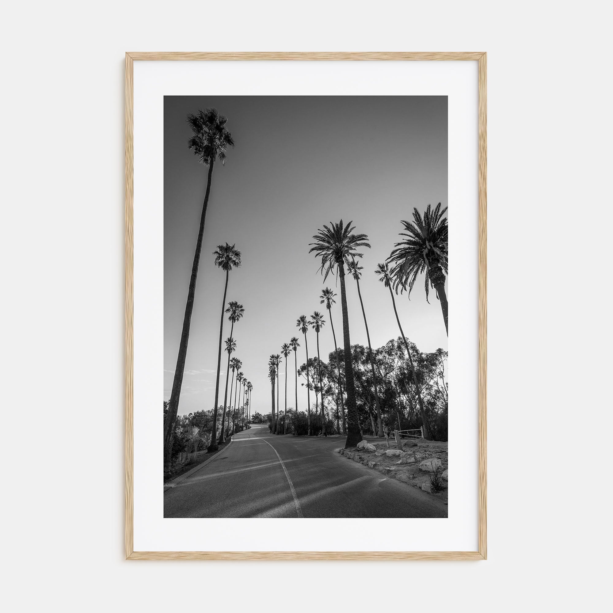 Elysian Park Photo B&W Poster