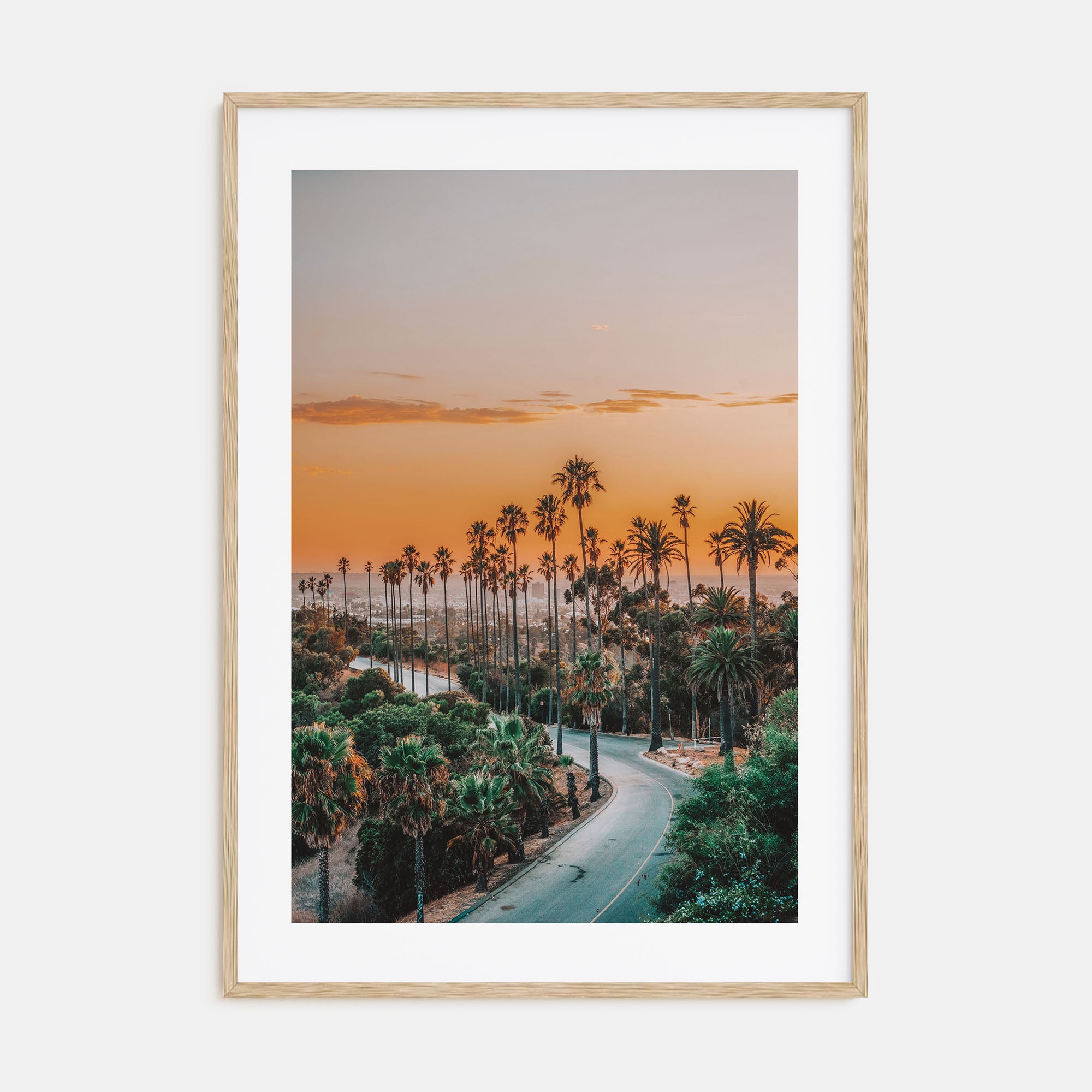 Elysian Park Photo Color Poster