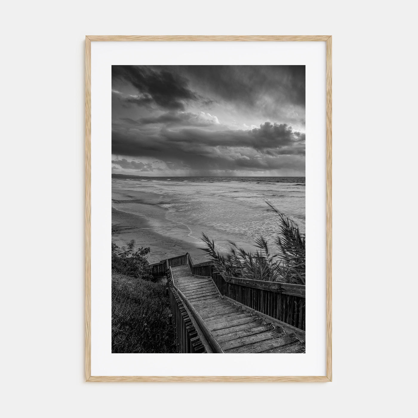 Encinitas Photo B&W No 3 Poster