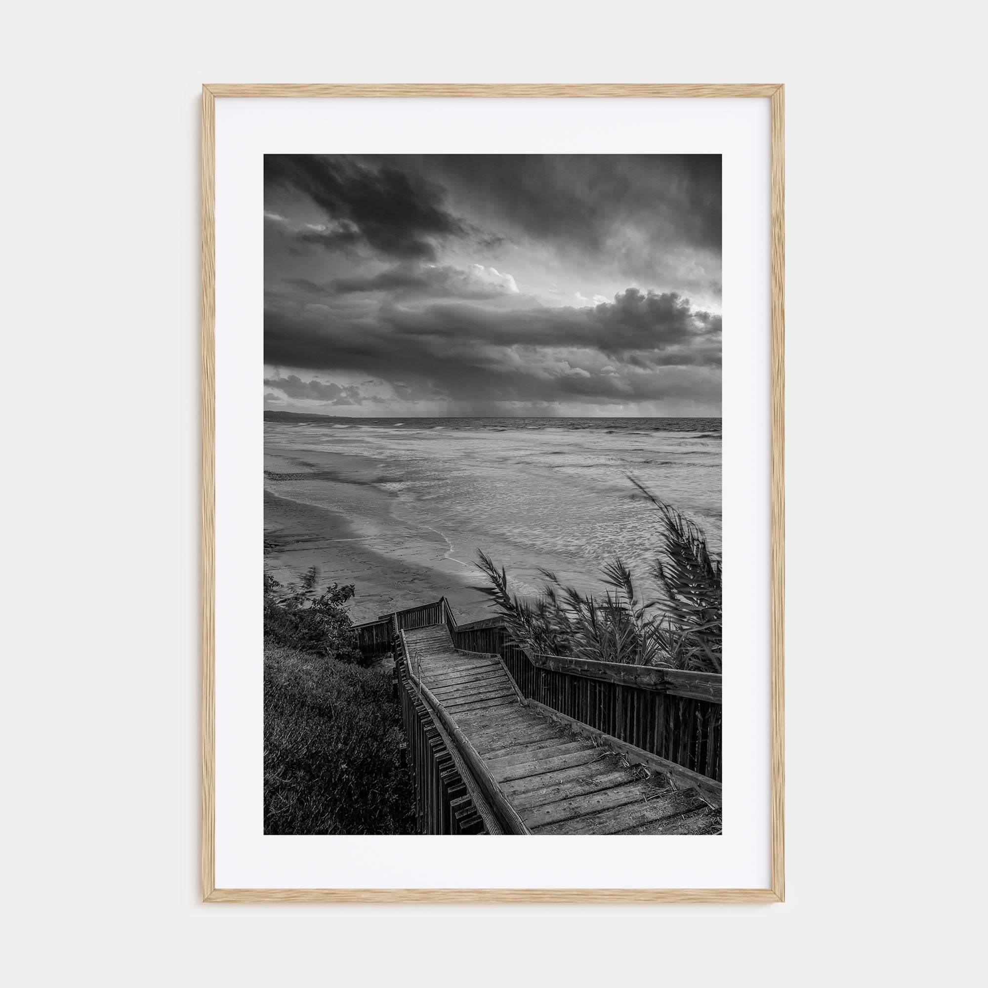 Encinitas Photo B&W No 3 Poster