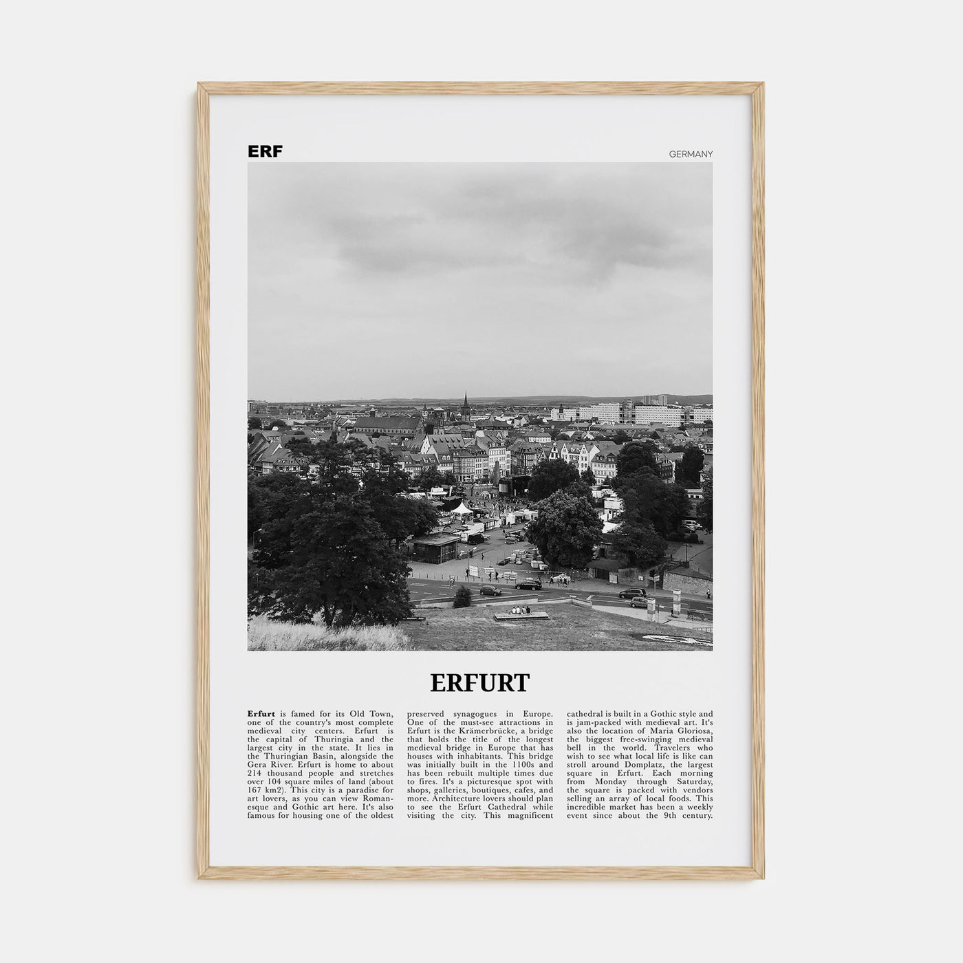 Erfurt Travel B&W Poster