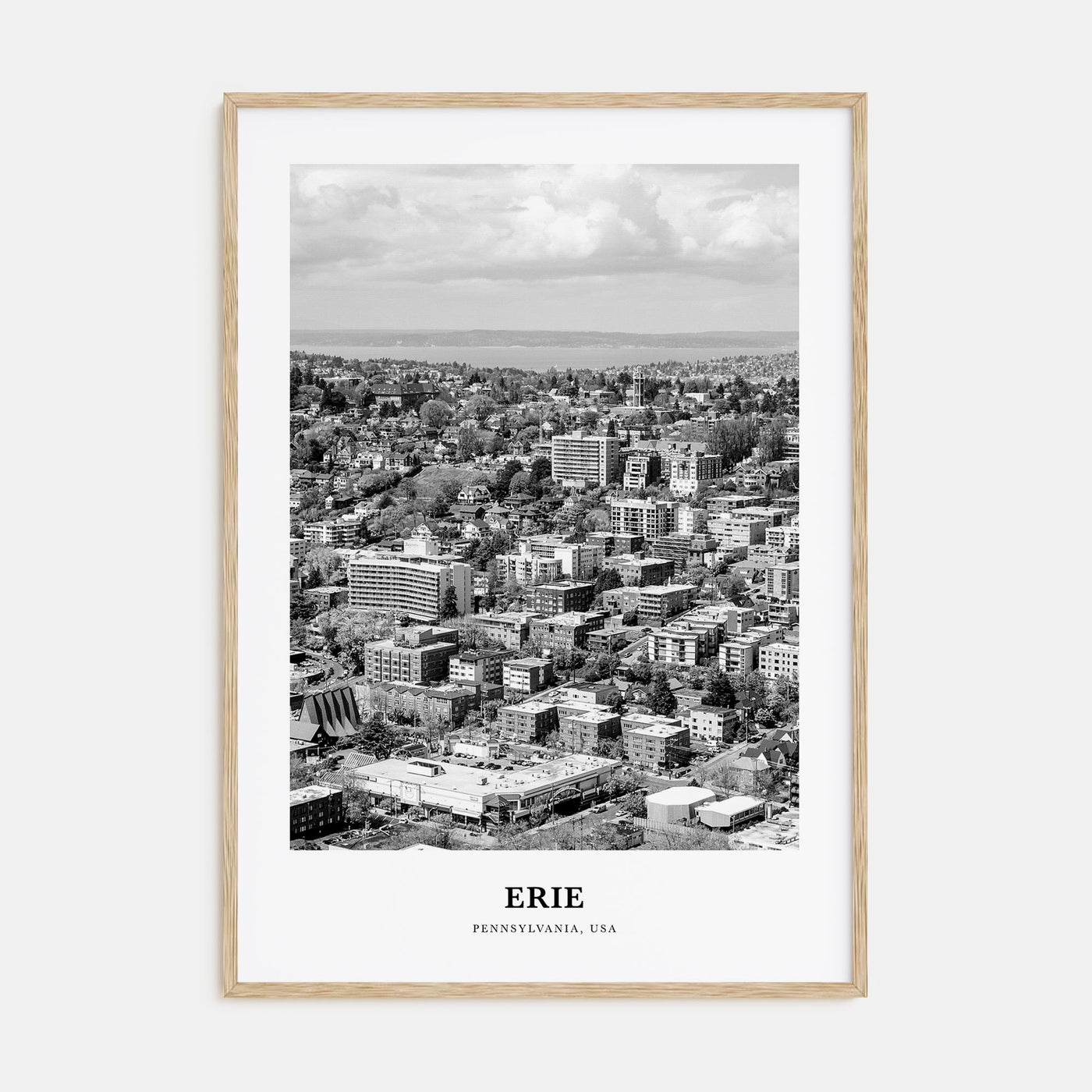 Erie Portrait B&W Poster