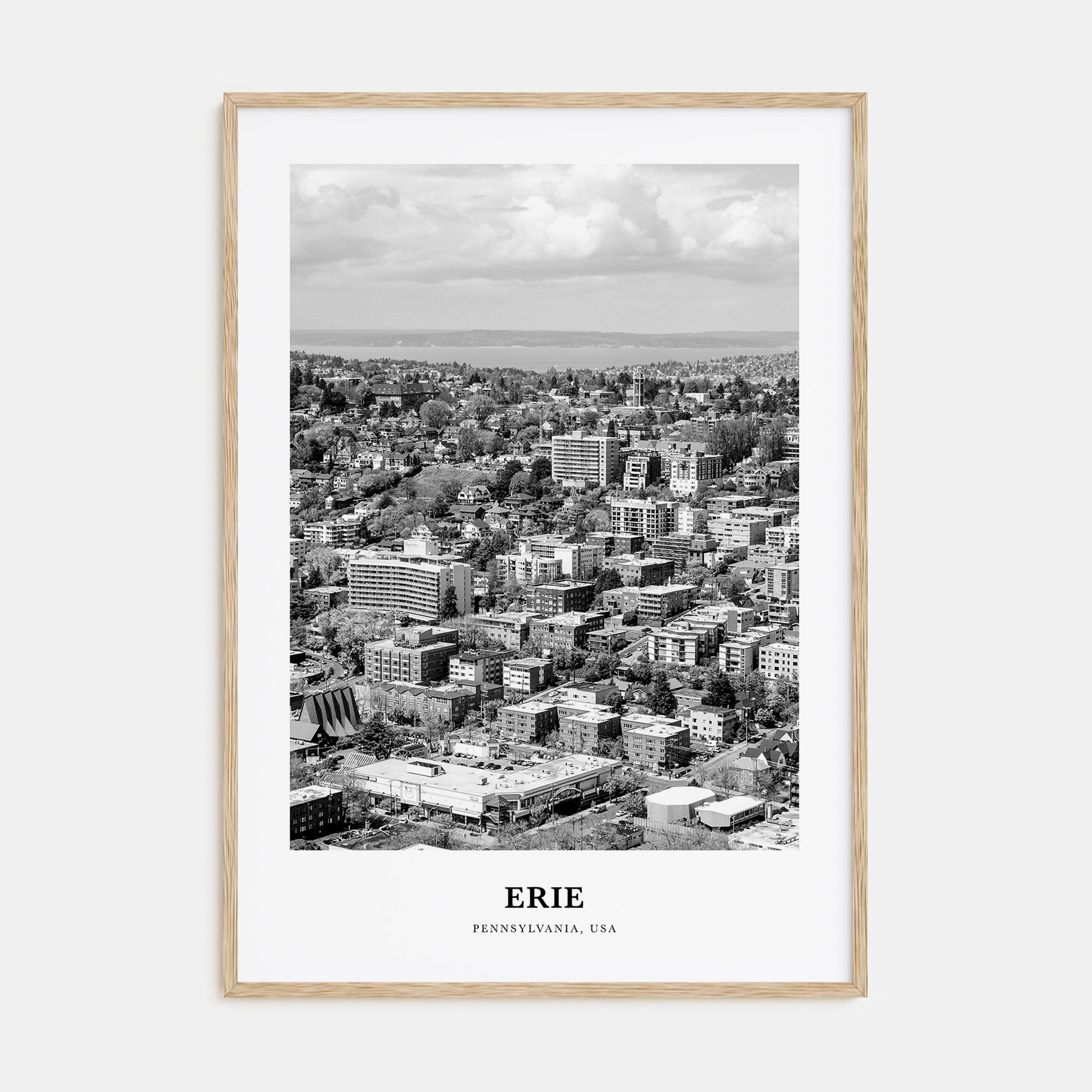 Erie Portrait B&W Poster