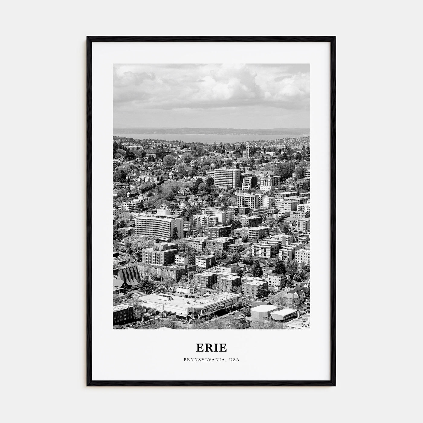 Erie Portrait B&W Poster
