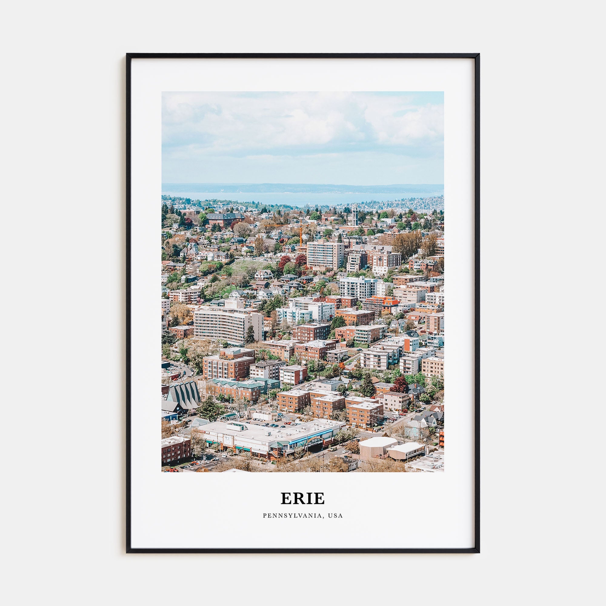 Erie Portrait Color Poster