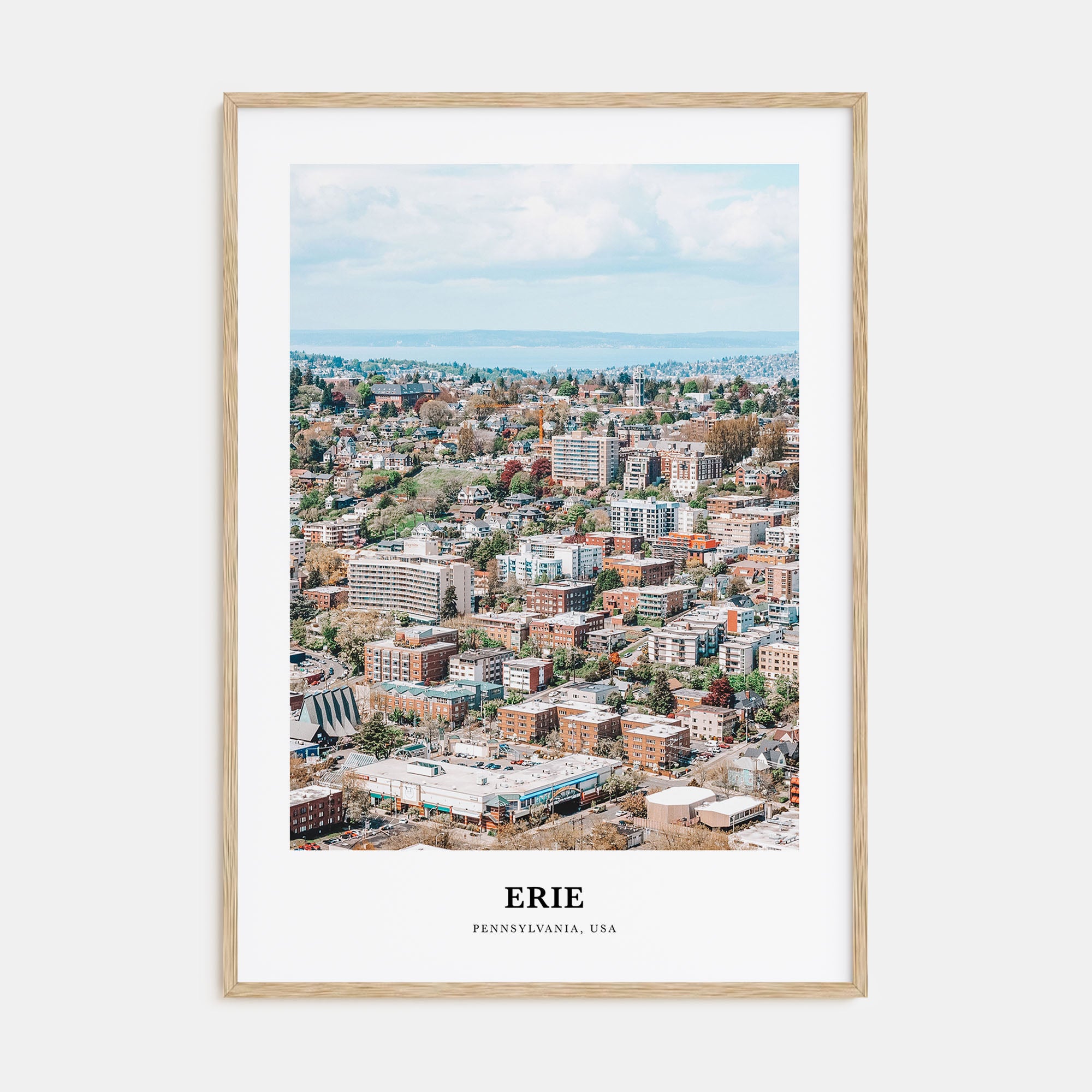 Erie Portrait Color Poster