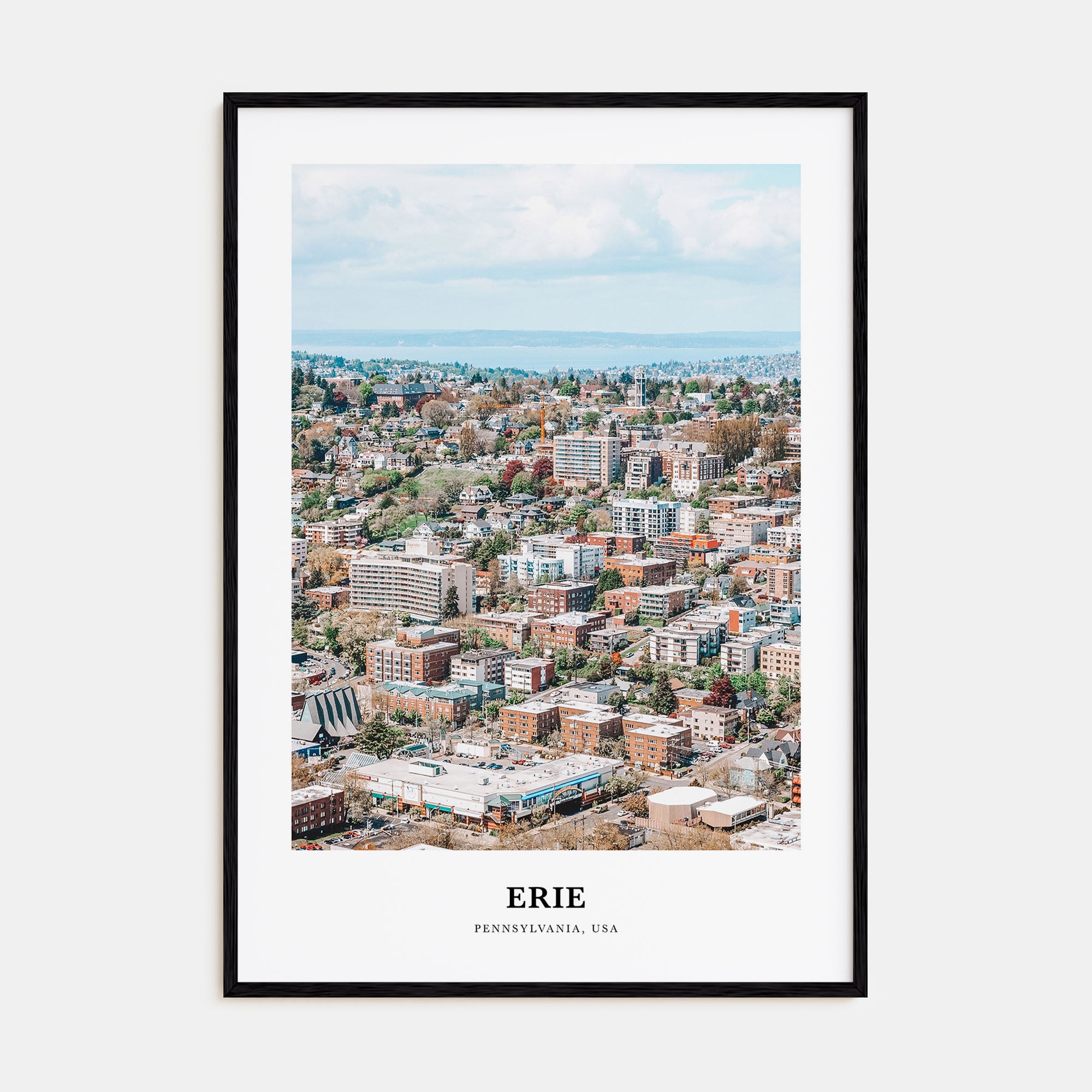 Erie Portrait Color Poster