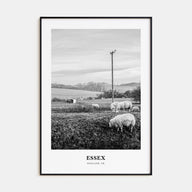 Essex Portrait B&W Poster