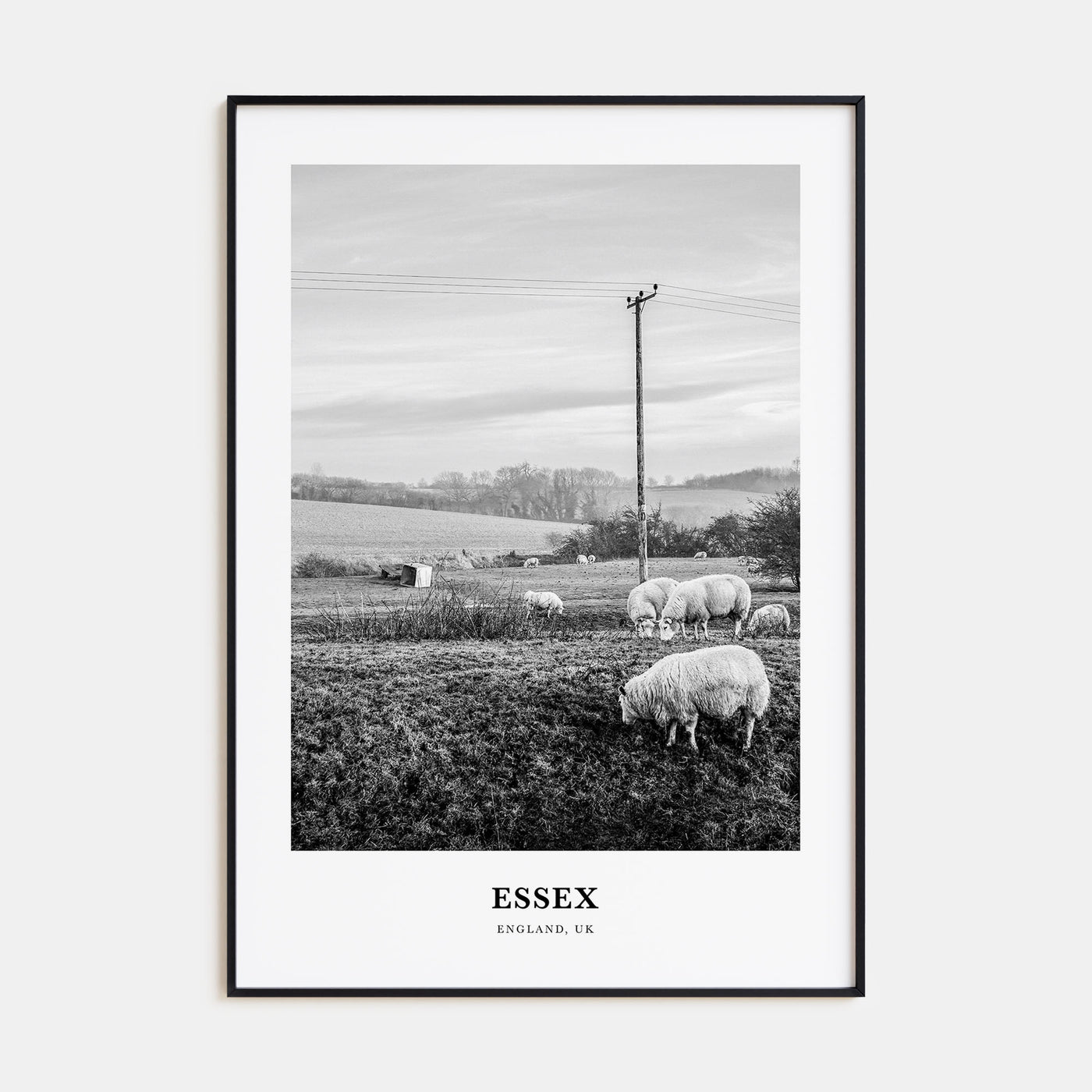 Essex Portrait B&W Poster