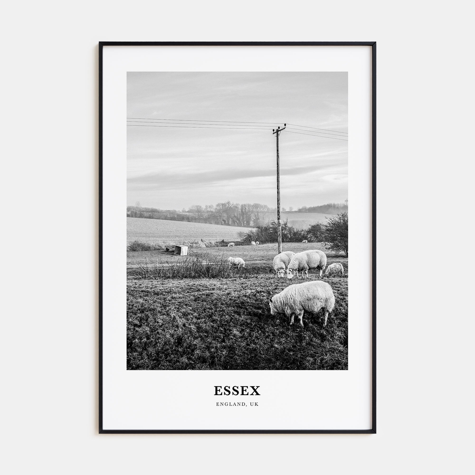 Essex Portrait B&W Poster