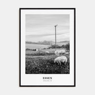 Essex Portrait B&W Poster