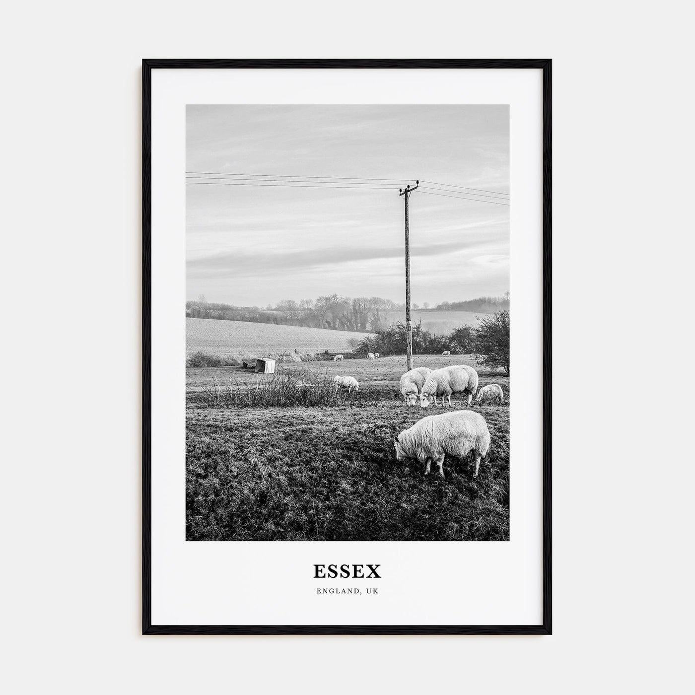 Essex Portrait B&W Poster